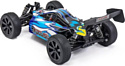 FS Racing 1:8 FS-33651P (синий)