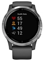 Garmin Vivoactive 4