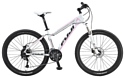 Fuji Bikes Addy Comp 1.3 D (2015)