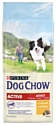 DOG CHOW (14 кг) Active Adult с курицей для взрослых активных собак