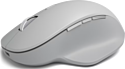 Microsoft Surface Precision gray