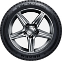 Nexen/Roadstone WinGuard WinSpike 3 255/50 R19 107V