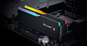 G.SKILL Ripjaws M5 RGB F5-5600J4645A16GX2-RM5RK G.SKILL Ripjaws M5 RGB F5-5600J4645A16GX2-RM5RK