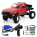 Aosenma Offroad Desert Car 4WD RTR