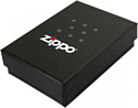Zippo Palm Brushed Chrome 200