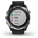 Garmin Descent Mk2 stainless steel with silicone band