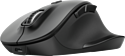 Trust Fyda Rechargeable Wireless Comfort Mouse