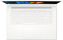 Acer ConceptD 3 CN315-72G-565R (NX.C5XEU.003)