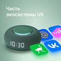 VK Капсула Мини (хвойный зеленый)