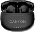 Canyon TWS-8