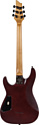 Schecter SGR C-1 WSN