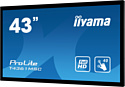 Iiyama T4361MSC-B1