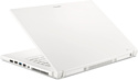 Acer ConceptD 7 SpatialLabs Edition CN715-73G-73ZX (NX.C75ER.001)