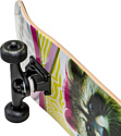 Plank Raccoon P22-SKATE-PACCON