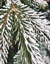 Christmas Tree Северная люкс с шишками 1.5 м
