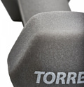 Torres PL550115 1.5 кг