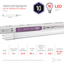 ЭРА LED T8-10W-865-G13-600mm