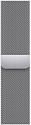 Apple Watch Series 8 LTE 41 мм (корпус из нержавеющей стали, металлический ремешок)