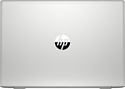 HP ProBook 455 G6 (6EB49EA)