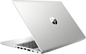 HP ProBook 455 G6 (6EB49EA)