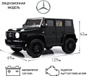 RiverToys Mercedes-Benz G500 E333EE (черный)