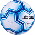 Jogel BC20 Intro (5 размер, белый/синий)