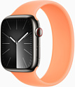 Apple Watch Series 9 45 мм (стальной корпус, силиконовый ремешок S/M)