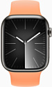 Apple Watch Series 9 45 мм (стальной корпус, силиконовый ремешок S/M)