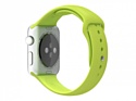 Apple Watch Sport 42mm Silver with Green Sport Band (MJ3P2)