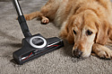 Miele SDBF5 Compact C2 Cat & Dog