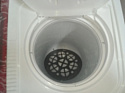 Vesta WME60P (белый/красный)