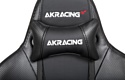 AKRacing Premium (черный, карбоновый)