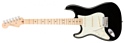 Fender American Professional Stratocaster Left-Hand