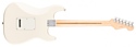 Fender American Professional Stratocaster Left-Hand
