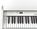 Roland F107 