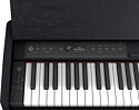 Roland F107 