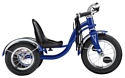 Schwinn Roadster Trike (2019)