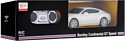 Rastar Bentley Continental GT Speed 48600W (белый)