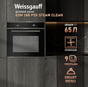 Weissgauff EOM 388 PDX Steam Clean Weissgauff EOM 388 PDX Steam Clean