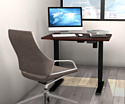 ErgoSmart Electric Desk Compact (черный)