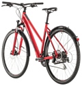 Cube Nature Allroad Trapeze (2019)