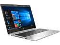 HP ProBook 455 G6 (6EB41EA)