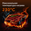 RED Solution SteakPro RGM-M816P