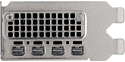 NVIDIA RTX A2000 (900-5G192-2551-000)