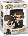 Funko Harry Potter S7 Harry Potter (Yule) 42608