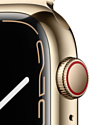 Apple Watch Series 7 LTE 45 мм (сталь, миланский)