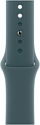 Apple Watch Series 10 42 мм (алюминиевый корпус, спортивный силиконовый ремешок S/M)