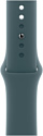 Apple Watch Series 10 42 мм (алюминиевый корпус, спортивный силиконовый ремешок S/M)