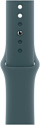 Apple Watch Series 10 42 мм (алюминиевый корпус, спортивный силиконовый ремешок S/M)