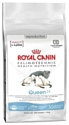 Royal Canin Pediatric Queen (10 кг)